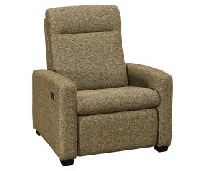 Harmony WH Recliner W/Power Option