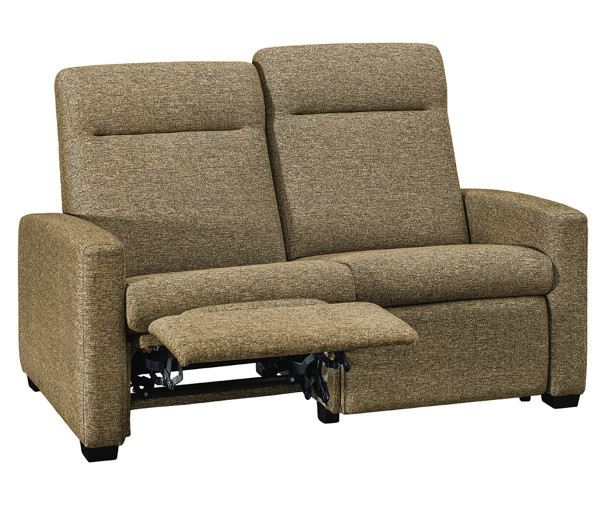 Harmony WH Loveseat Recliner - Image 2