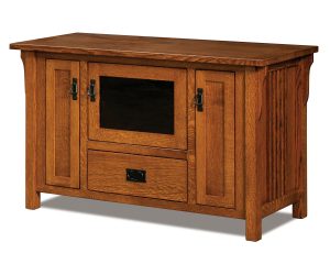 Camden Mission Plasma Stand