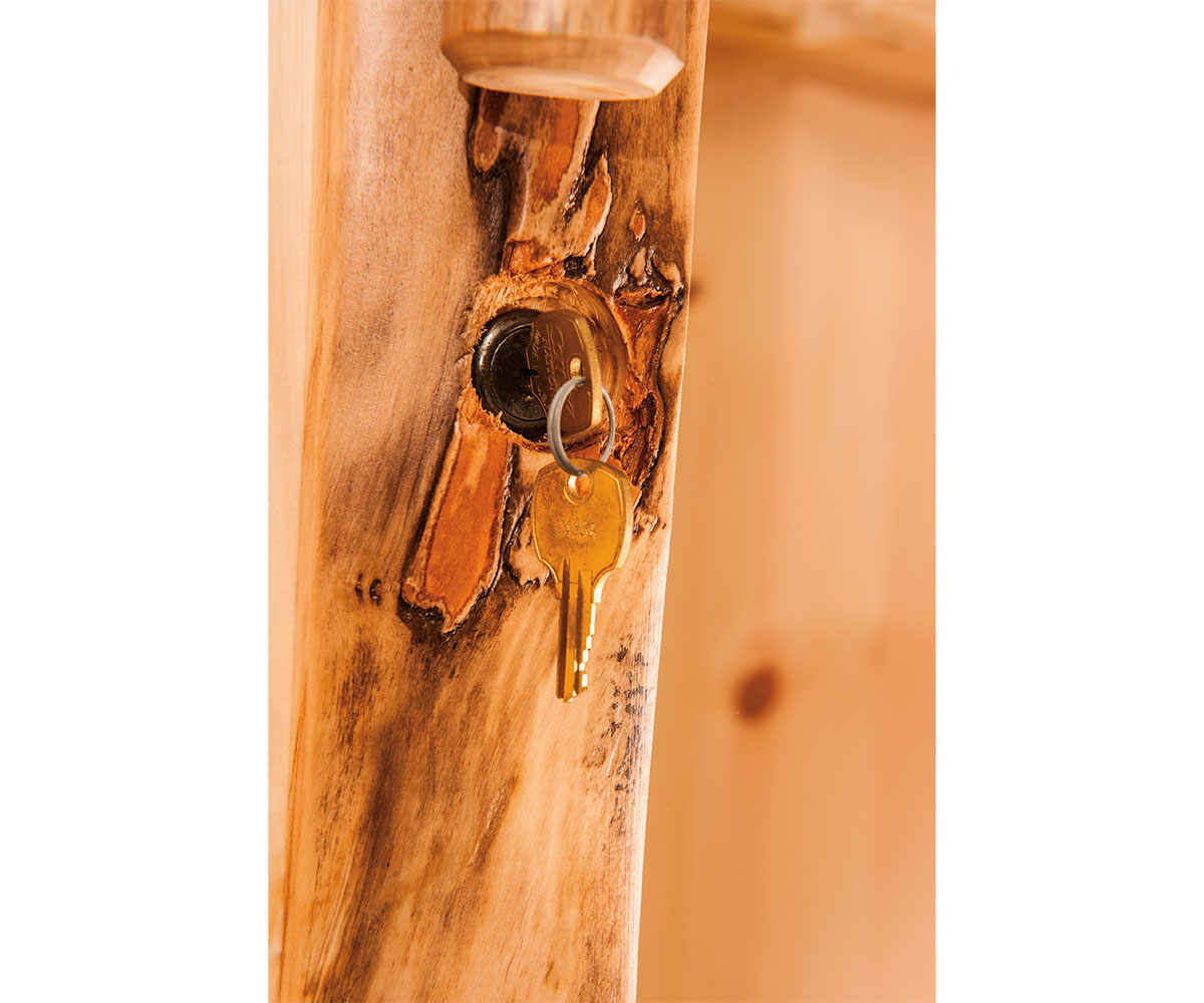 6 Gun Cabinet - Image 2