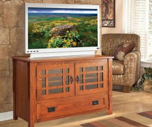 Mission TV Room