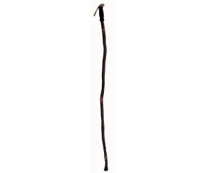 Hiker Cane