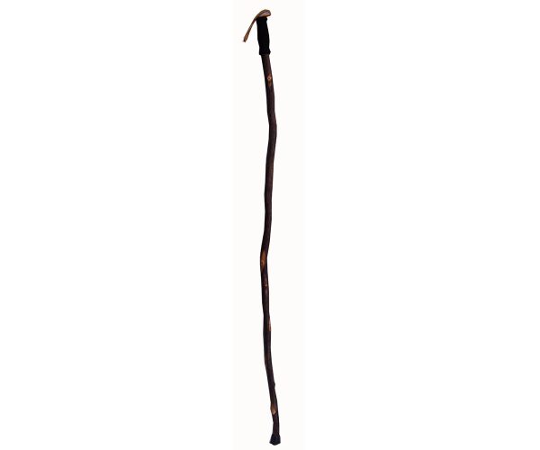 Hiker Cane