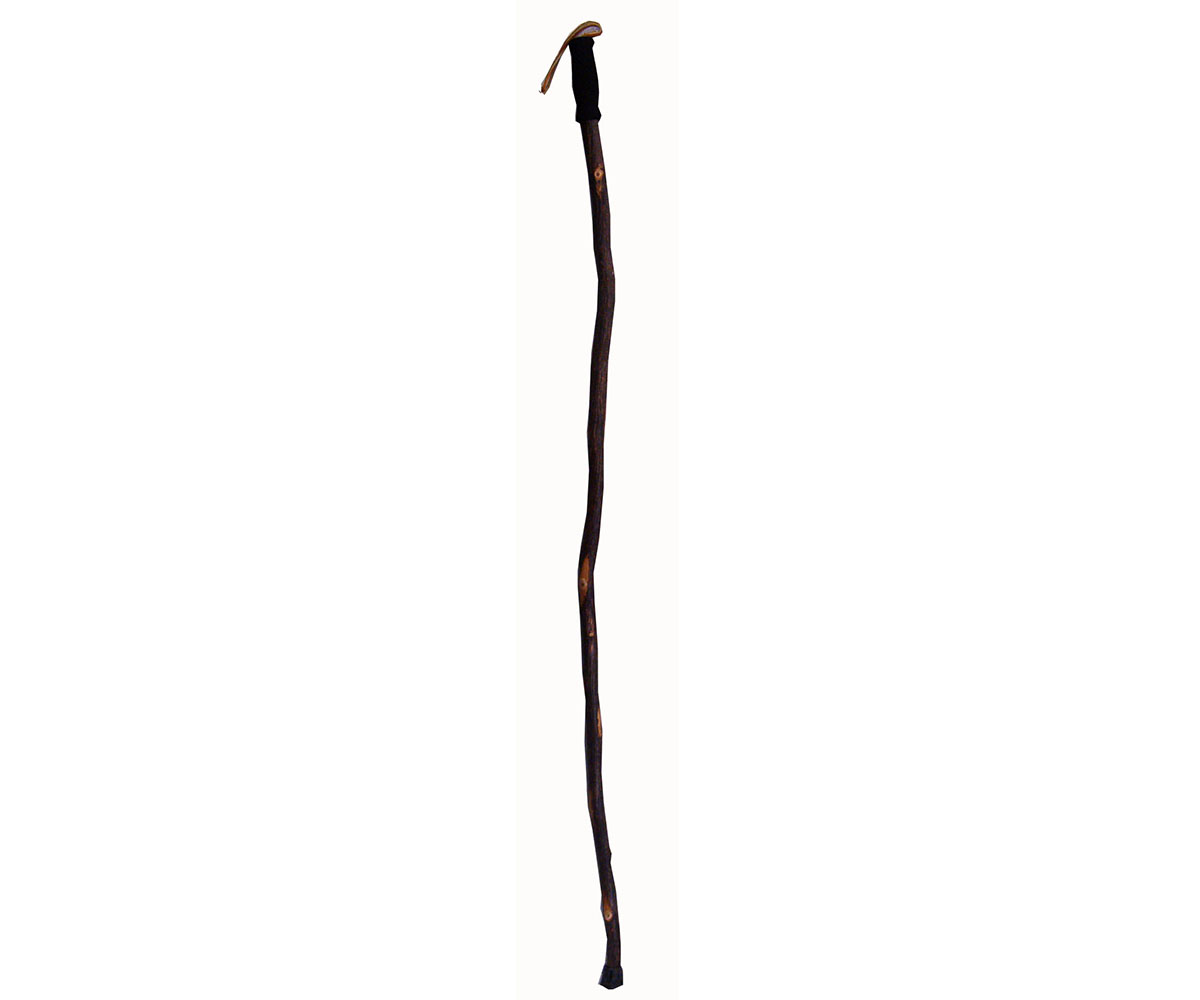 Hiker Cane