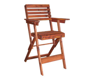 Director's Chair