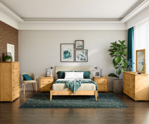 Hudson Collection