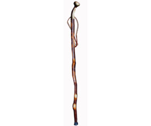 Brass Top Cane