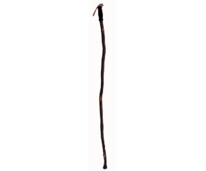 Hiker Cane