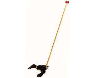 Duck Push Toy
